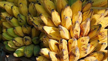 bananas