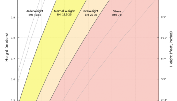BMI Chart